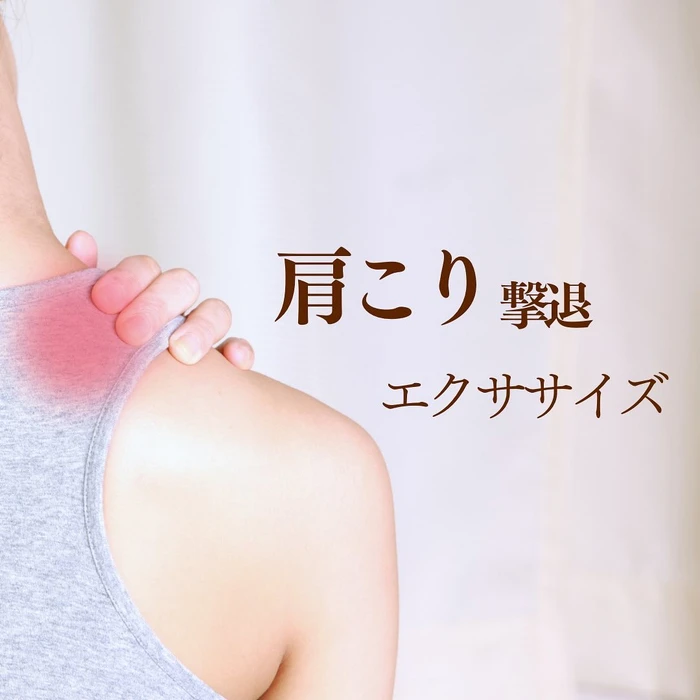 画像256