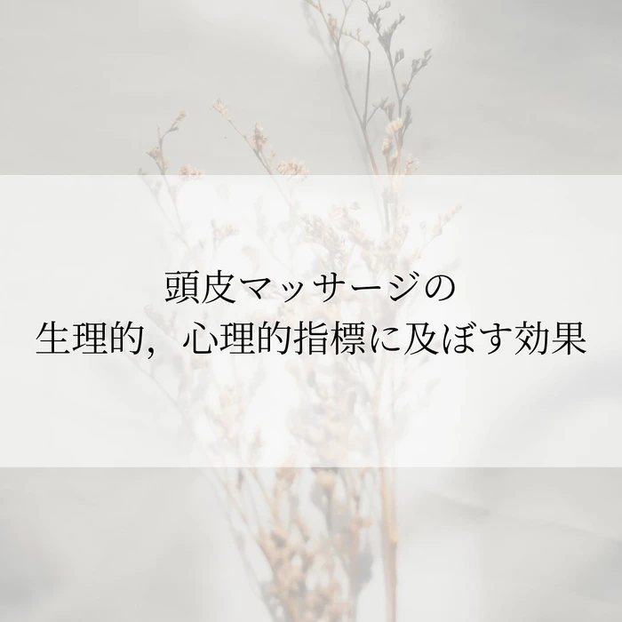 画像263