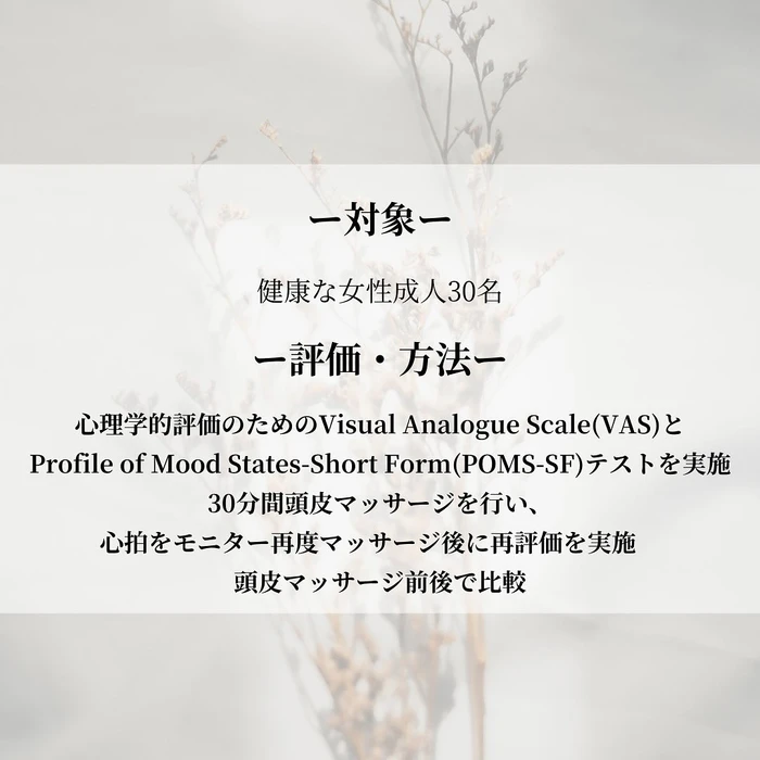 画像264