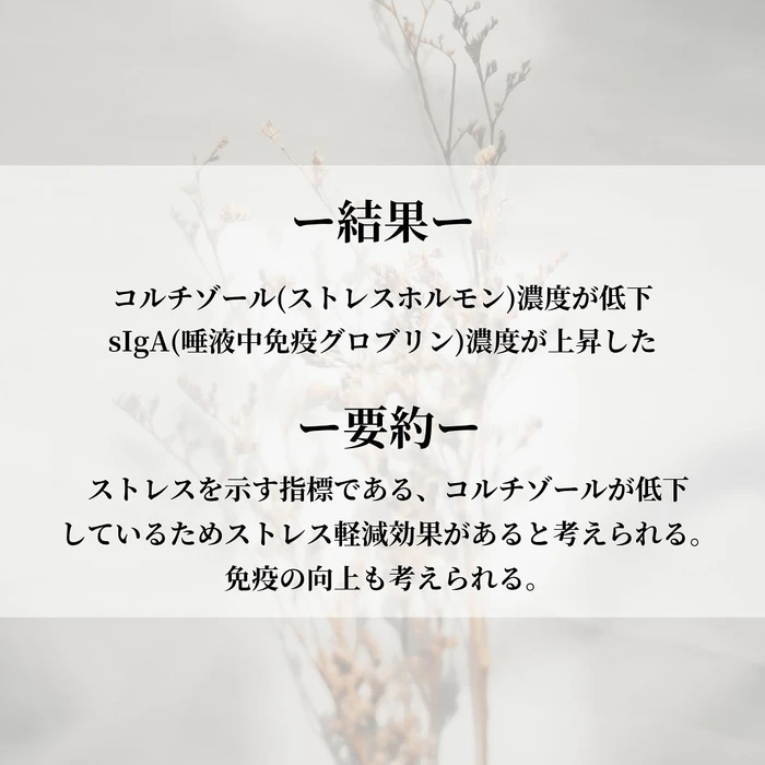 画像265