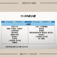 画像270